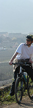 Burgundy wine tour Bike