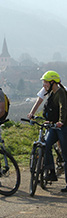 Burgundy wine tour Bike