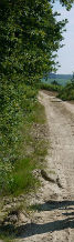 Champagne wine tour segway