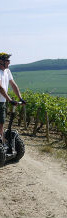 Champagne wine tour segway