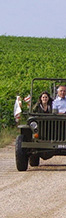 France luxury wine tour Rally