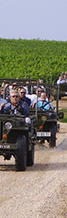 France luxury wine tour Rally