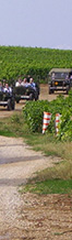 France wine séminar Rally