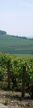 France wine tasting segway