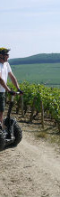 french corporate wine trip segway