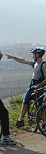 French wine tourism Bike