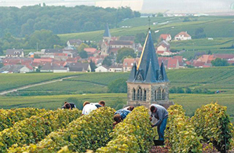 Des vendanges de haute volée