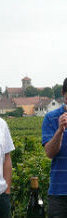 Séjour entreprises Alsace vin
