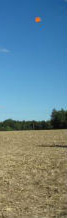 Séminaire entreprises Bourgogne chasse